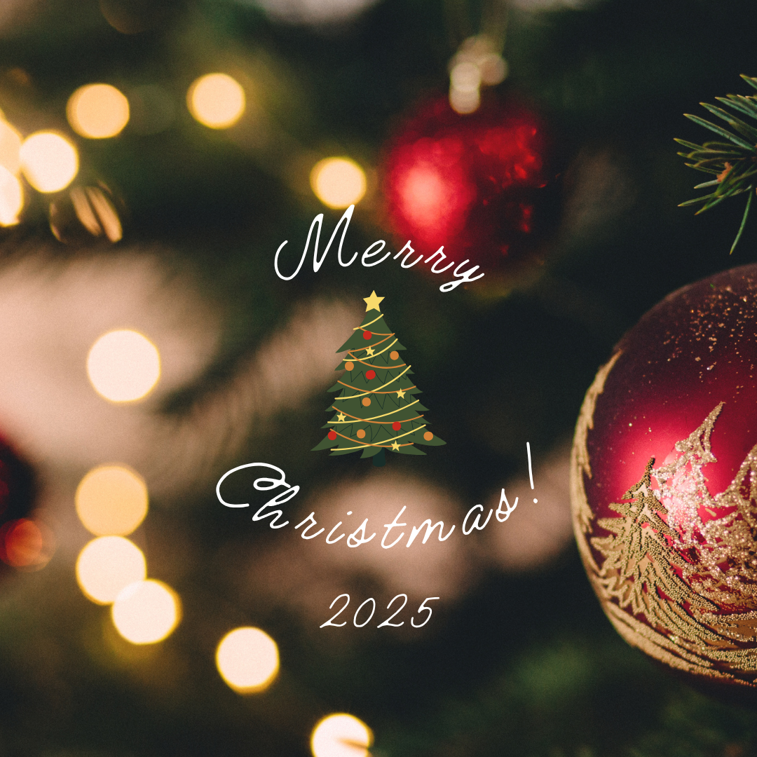 知育書籍Xmas特集