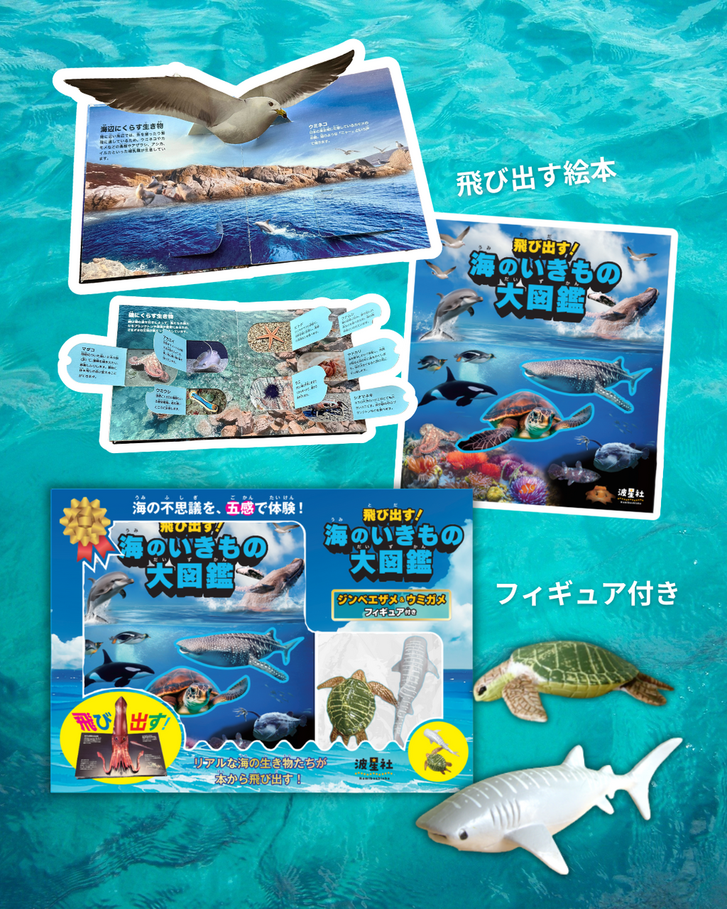 飛び出す！海のいきもの大図鑑