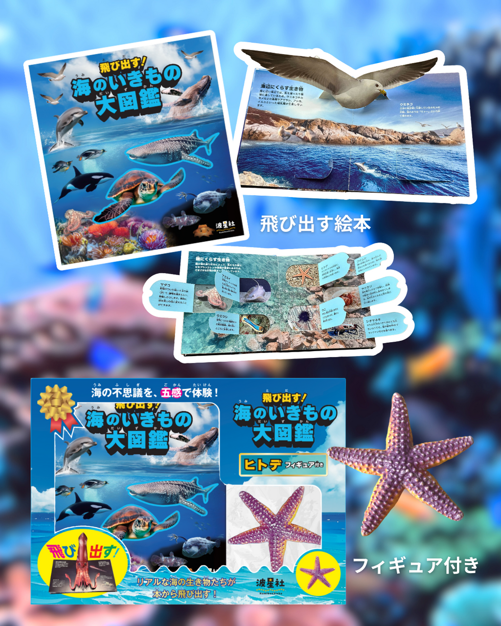 飛び出す！海のいきもの大図鑑